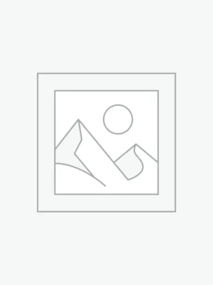 Ergonomic Office Chairs